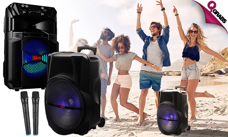 Rechargeable Karaoke Speakers + Wireless Mics!